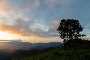 backdrop of the beautiful colors of the sky and the high mountain scenery in Chiang Mai is a beautiful scenery of nature in winter and is popular with tourists. Simple sky background with copy space photo