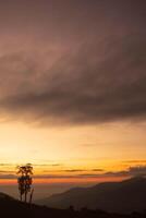 scenics nature and the beautiful colors of the evening sky provide a beautiful and peaceful backdrop to the sky. Simple sky background with copy space for text. photo