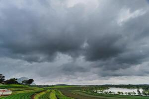 The rain clouds that are forming above the sky are rain clouds of the storms that are bringing moisture into the seasonal areas. The background of the sky is full of black clouds from thunderstorm photo