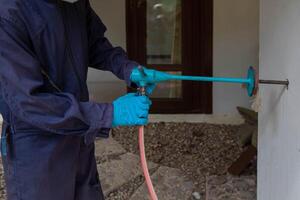 Pest exterminator employees are using pesticide sprayer at client's home and searching for as many nests as possible. An employee from pest control company is spraying chemicals to kill the insects. photo