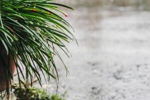 The rain was falling on the roadway due to a precipitation that was forming after the depression hit Thailand, causing heavy rains in some areas and flooding the road surface. photo