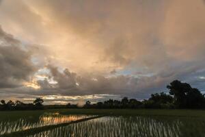 The rain clouds that are forming above the sky are rain clouds of the storms that are bringing moisture into the seasonal areas. The background of the sky is full of black clouds from thunderstorm photo