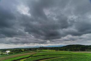 The rain clouds that are forming above the sky are rain clouds of the storms that are bringing moisture into the seasonal areas. The background of the sky is full of black clouds from thunderstorm photo