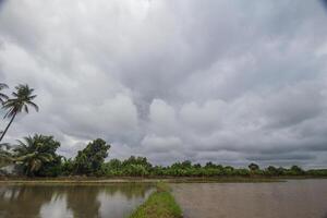 The rain clouds that are forming above the fields are rain clouds caused by storms that are resting moisture into the seasonal areas. The sky background is full of black clouds from thunderstorm. photo