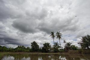 The rain clouds that are forming above the fields are rain clouds caused by storms that are resting moisture into the seasonal areas. The sky background is full of black clouds from thunderstorm. photo