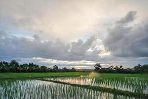 The rain clouds that are forming above the fields are rain clouds caused by storms that are resting moisture into the seasonal areas. The sky background is full of black clouds from thunderstorm. photo