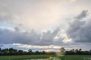 The rain clouds that are forming above the sky are rain clouds of the storms that are bringing moisture into the seasonal areas. The background of the sky is full of black clouds from thunderstorm photo