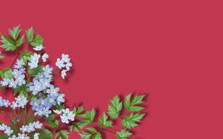 Red roses with copy space background. Great for additional design photo