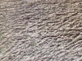 Rough texture background of building wall taken close up. Suitable for additional design projects. photo