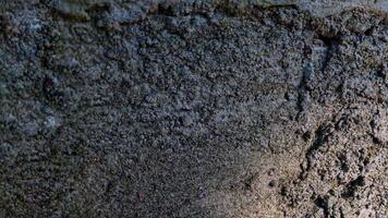 Rough background texture of building wall. Suitable for additional design projects. photo