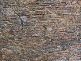 Close-up of old coconut wood texture background. Suitable for additional design projects. photo