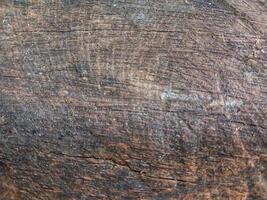 Close-up of old coconut wood texture background. Suitable for additional design projects. photo