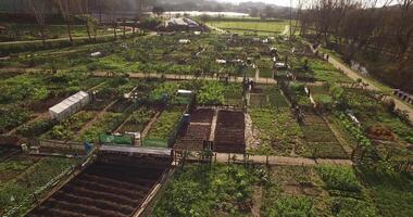 Community Garden Aerial View video
