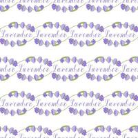 Lavender. Seamless pattern with flowers and the calligraphic word lavender on a transparent background. illustration. vector