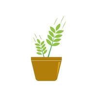 Seed plant icon vector