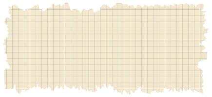 Torn paper edges checkered background rectangle shape vector