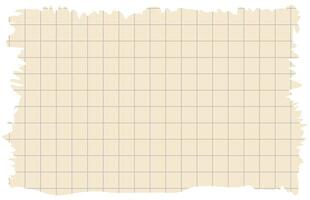 Torn paper edges checkered background vector