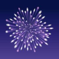 Experience a Spectacular and Vibrant Firework Display in the Night Sky vector