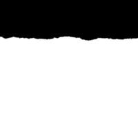Empty background with torn paper with copy space vector