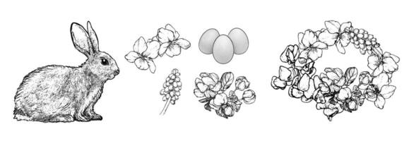 Graphical spring set isolated on white background, illustration vector