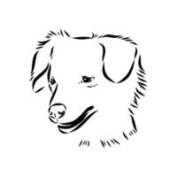 Alopecis dog sketch vector
