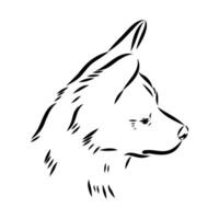 Alopecis dog sketch vector