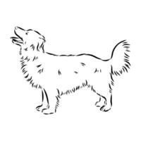 Alopecis dog sketch vector