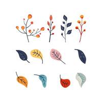 Set of Folk plant colored branches and leaves. Autumn botany. Minimalistic tree. Flat vector