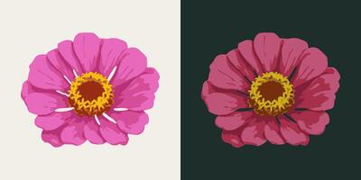 Zinnia flower head. Single isolated illustration. Image tracing, cleaned and simplified illustration. Realistic style. Not AI. vector
