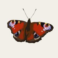 Peacock butterfly with spread wings, antennae. Single isolated colorful illustration. Image tracing, cleaned and simplified image. Realistic style. Not AI. vector