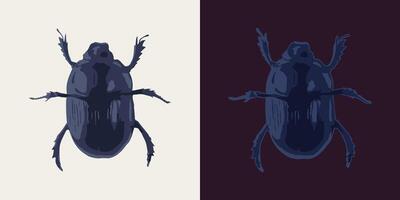 Dung beetle. Top view. Single isolated colorful illustration. Image tracing, cleaned and simplified image. Realistic style. Not AI. vector