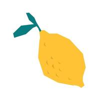 Abstract Fruit Set Lemon vector