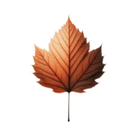 Autumn Maple Leaf In Vibrant Red For Fall Design Projects png