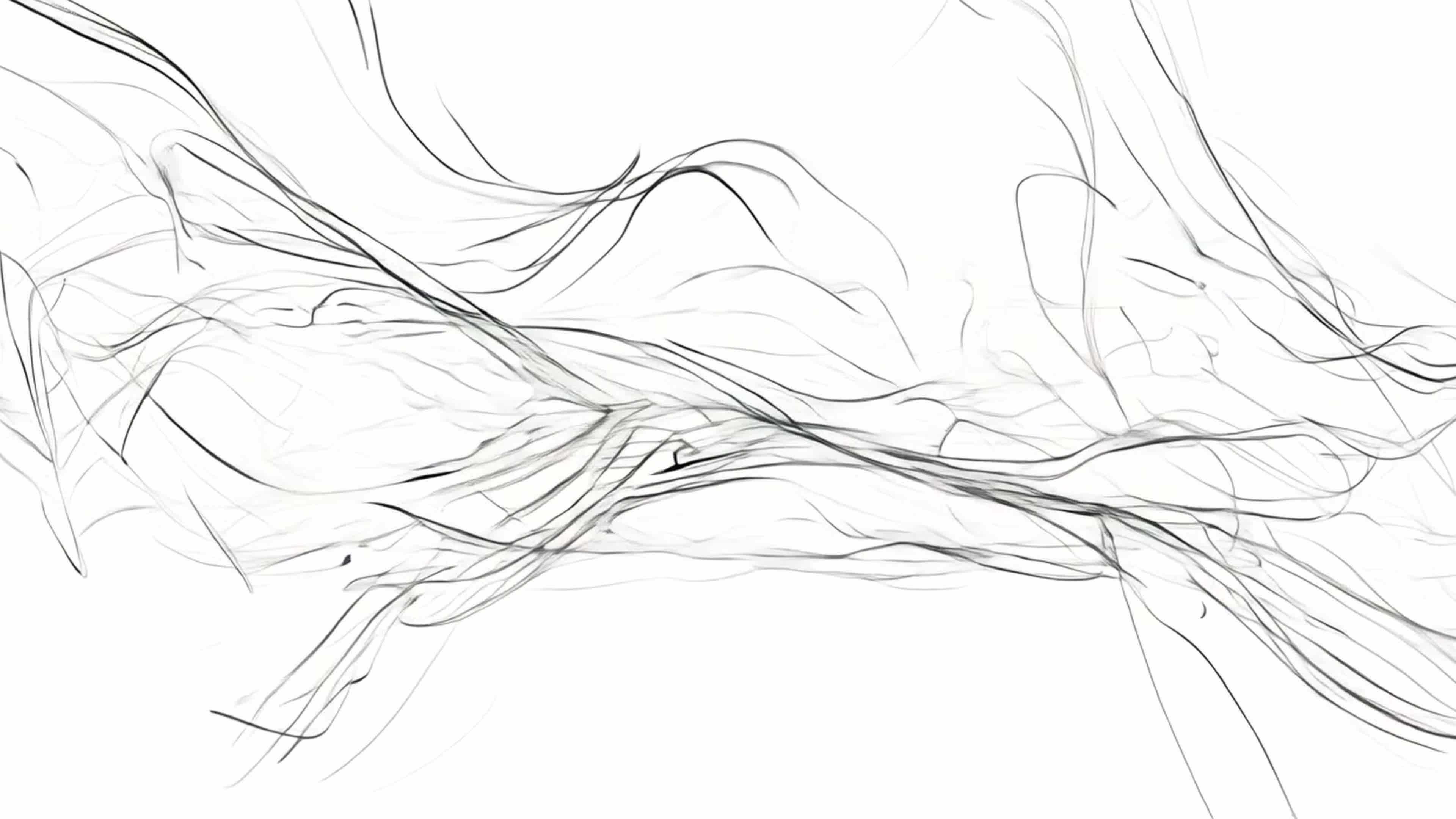 Hand line drawing, hand drawing, black on white background. 48233188