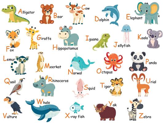 Colorful zoo alphabet for children with cute animals. Cartoon letters from A to Z isolated illustration. Preschool and school education concept