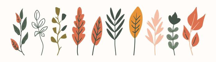 Tree and leaf collection hand drawn flat design element. botanical set of bare trees and ones with leaves and lush limited pastel color vector