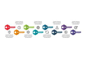 Key concept for infographic with 8 steps, options, parts or processes. Business data visualization. vector