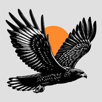 eagle flying, sketch graphics monochrome illustration , Engraving vector