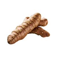 Fresh ginger root rhizome on Transparent background png