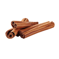 Cinnamon sticks on Transparent background png