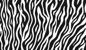 Zebra skin, stripes pattern. Animal print, black and white detailed and realistic texture. Monochrome seamless background vector