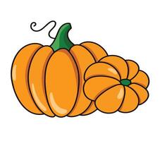 pumpkin is isolated on the white background vector