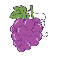 cute grape fruit is isolated on the white background vector
