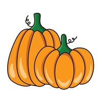 pumpkin is isolated on the white background vector