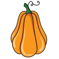 pumpkin is isolated on the white background vector