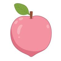 cute peach fruit is isolated on the white background vector