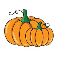 pumpkin is isolated on the white background vector