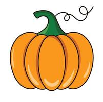 pumpkin is isolated on the white background vector