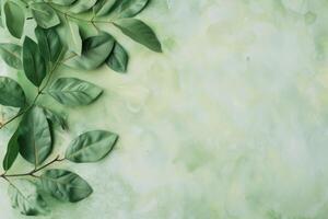 Green leaves on a pale green background with copy space. Natural background. photo