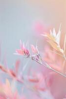 Delicate pink flower buds on a branch in soft light. Vertical floral background. photo